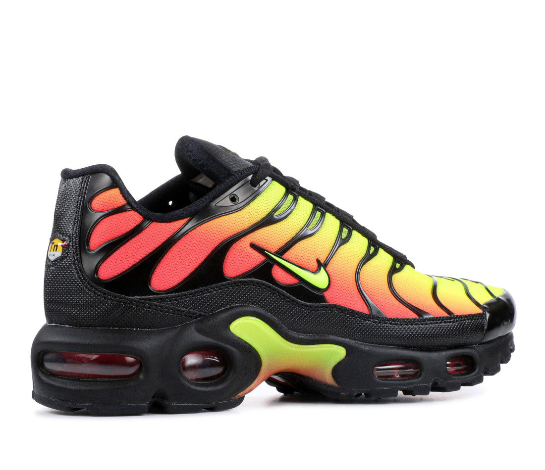 Nike Air Max Plus
